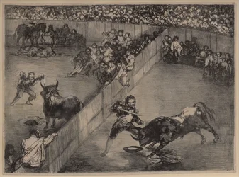 Stierengevecht in een Verdeelde Ring