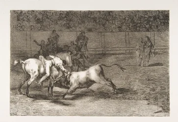 Plaat 23 uit de 