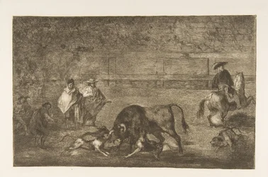 Plaat C: De honden losgelaten op de stier, ca. 1816