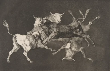 Plaat D uit de Disparates: Dwazen of kleine stieren, ca. 1816-23 gepubliceerd vóór 1877