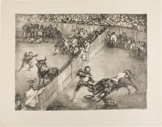Stierengevecht in een gedeeld ring, uit 