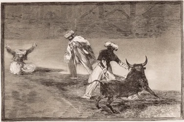 Stierenvechten: De Moren spelen in een omheining met de cape voor een andere stier