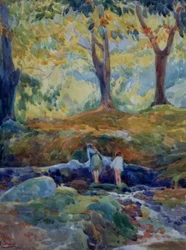 Bosque
