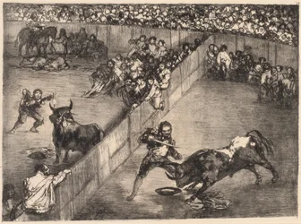 Stierengevecht in een Verdeelde Ring