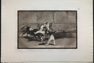 Stierengevechten: een Moor gegrepen door een stier in de arena, 1876.