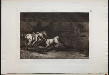 Stierengevechten: Mariano Ceballos, alias de Indiaan, doodt de stier vanaf zijn paard, 1876