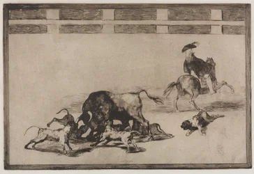 Stierengevechten: Ze laten honden los op de stier, 1876