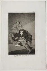 Caprichos: De beschaamde