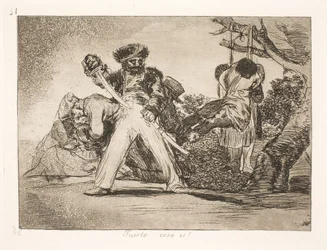 Een bewezen middel (31)