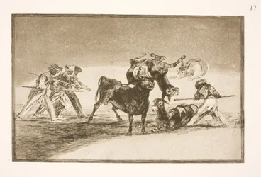 De Moren gebruiken ezels als barrière om zich te verdedigen tegen de stier, waarvan de horens van ballen zijn voorzien