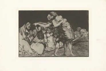 Ongeordende dwaasheid (De dwaasheden) (De spreekwoorden) (series title)