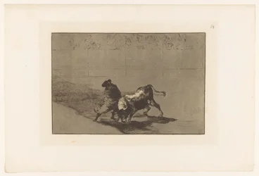 Stierenvechter in een arena