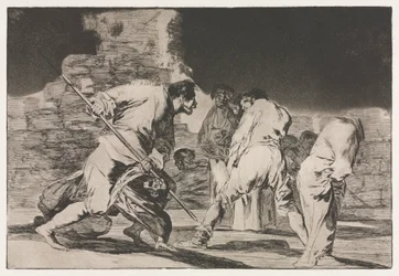 De spreekwoorden: De dwaasheid van woede