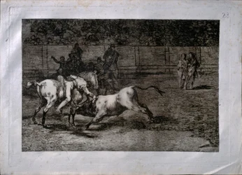 Mariano Ceballos, genaamd el Indio, doodt de stier te paard