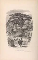 Le Jardin des Plantes, Beschrijvingen en gewoonten van de zoogdieren, 1842