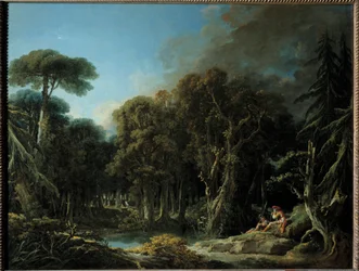 Het bos