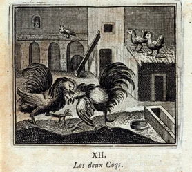 Beide hanen. Fabels van Jean de La Fontaine. Illustratie door François Chauveau. Editie van 1728.