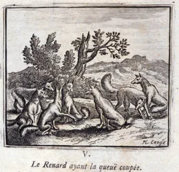 Illustratie uit de 
