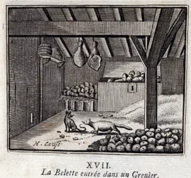 De wezel in de graanschuur. Fabels van Jean de La Fontaine. Illustratie door François Chauveau. Editie van 1728.