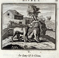 De Wolf en de Hond