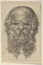 Masker van een Kale Man met Puntige Oren en een Lange, Gespleten Baard, uit Divers Masques