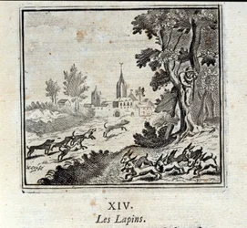 Konijnen. Fabels door Jean de La Fontaine (1621-95). Illustratie door François Chauveau (1613-1676). Editie van 1728.