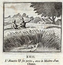 De leeuwerik en zijn jongen met de meester van een veld. Fabels door Jean de La Fontaine (1621-95). Illustratie door François Chauveau (1613-1676). Editie van 1728.