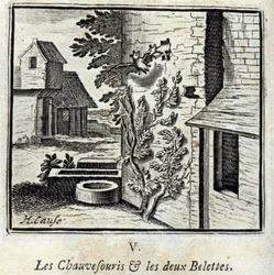 De Vleermuis en de twee Wezels. Fabels van Jean de La Fontaine. Illustratie door François Chauveau. Editie van 1728.