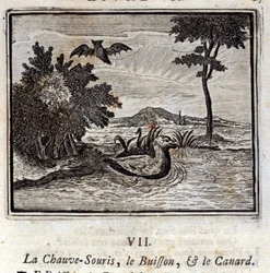 De vleermuis, de struik en de eend. Fabels van Jean de La Fontaine. Illustratie door François Chauveau. Editie van 1728.