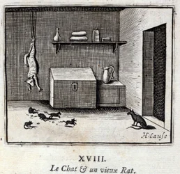 De Kat en een Oude Rat