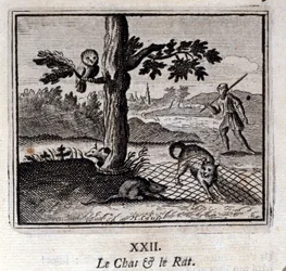 De Kat en de Rat