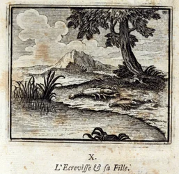 De kreeft en zijn dochter. Fabels van Jean de La Fontaine. Illustratie door François Chauveau. Editie van 1728.