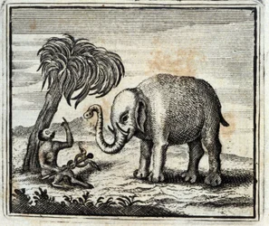 De olifant en de aap van Jupiter. Fabels door Jean de La Fontaine. Illustratie door François Chauveau. Editie van 1728