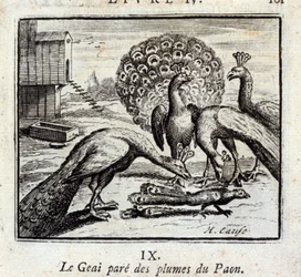 De gaai tooit zich met pauwenveren. Fabels van Jean de La Fontaine (1621-95). Illustratie van François Chauveau (1613-1676). Editie van 1728.