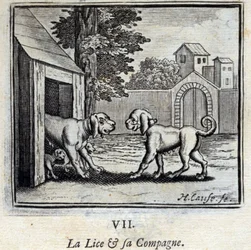 De Luis en haar Metgezel