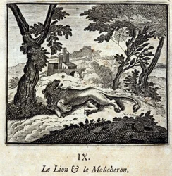 De Leeuw en de Vliegenvanger