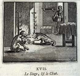 De Aap en de Kat