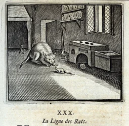 De rattenliga. Fabels door Jean de La Fontaine (1621-95). Illustratie door François Chauveau (1613-1676). Editie van 1728.