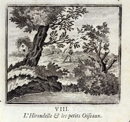 De zwaluw en de kleine vogels. Fabels van Jean de La Fontaine. Illustratie door François Chauveau. Editie van 1728.