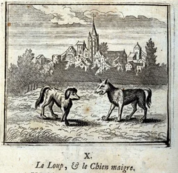De Wolf en de Magere Hond