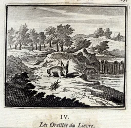 De oren van de haas. Fabels van Jean de La Fontaine. Illustratie door François Chauveau. Editie van 1728.