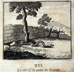 De kop en de staart van de slang. Fabels van Jean de La Fontaine (1621-95). Illustratie door François Chauveau (1613-1676). Uitgave van 1728.