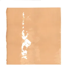 Draaiende Derwisj