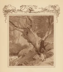 Illustratie voor Gray