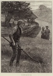 De Maaier
