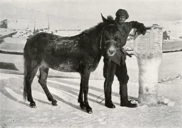 Gran met muilezel Lal Khan, ca. 1911, 1913