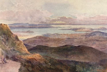 Nieuw-Zeeland: Coromandel