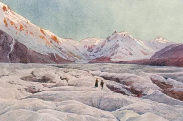 Nieuw-Zeeland: De Tasman-gletsjer