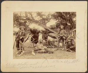 Lispenard Stewart party, #6 - 5th Ave., N.Y. met trofeeën bij oude cederboom, Mammoth Hot Springs, Yellowstone National Park