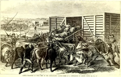 Veekraal in Abilene, Kansas, c. 1871